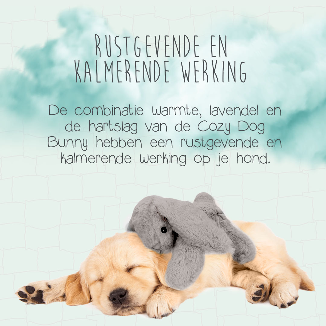 Cozy Dog Bunny Grijs 2025 Cozy Dog Bunny Grijs - Afbeelding 3