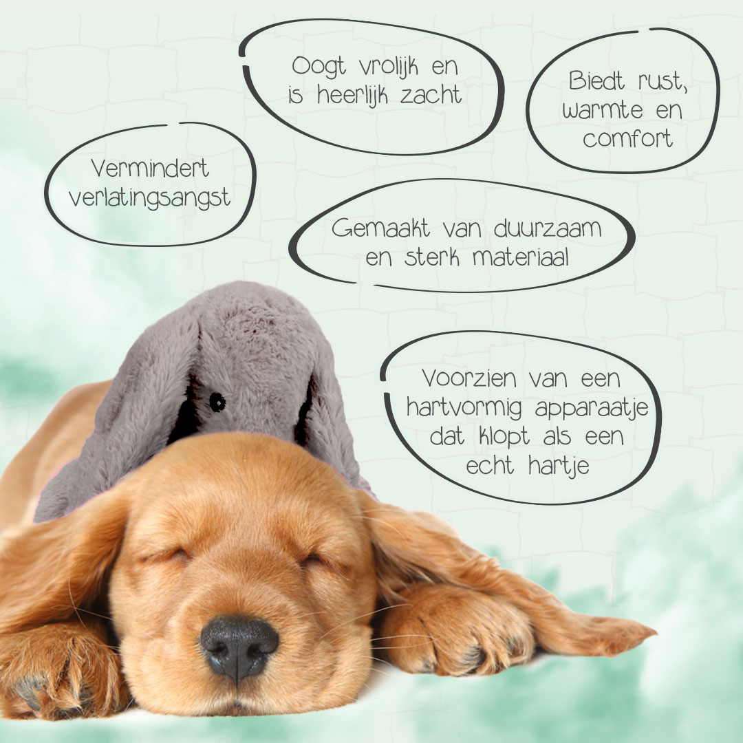 Cozy Dog Bunny Grijs 2025 Cozy Dog Bunny Grijs - Afbeelding 4