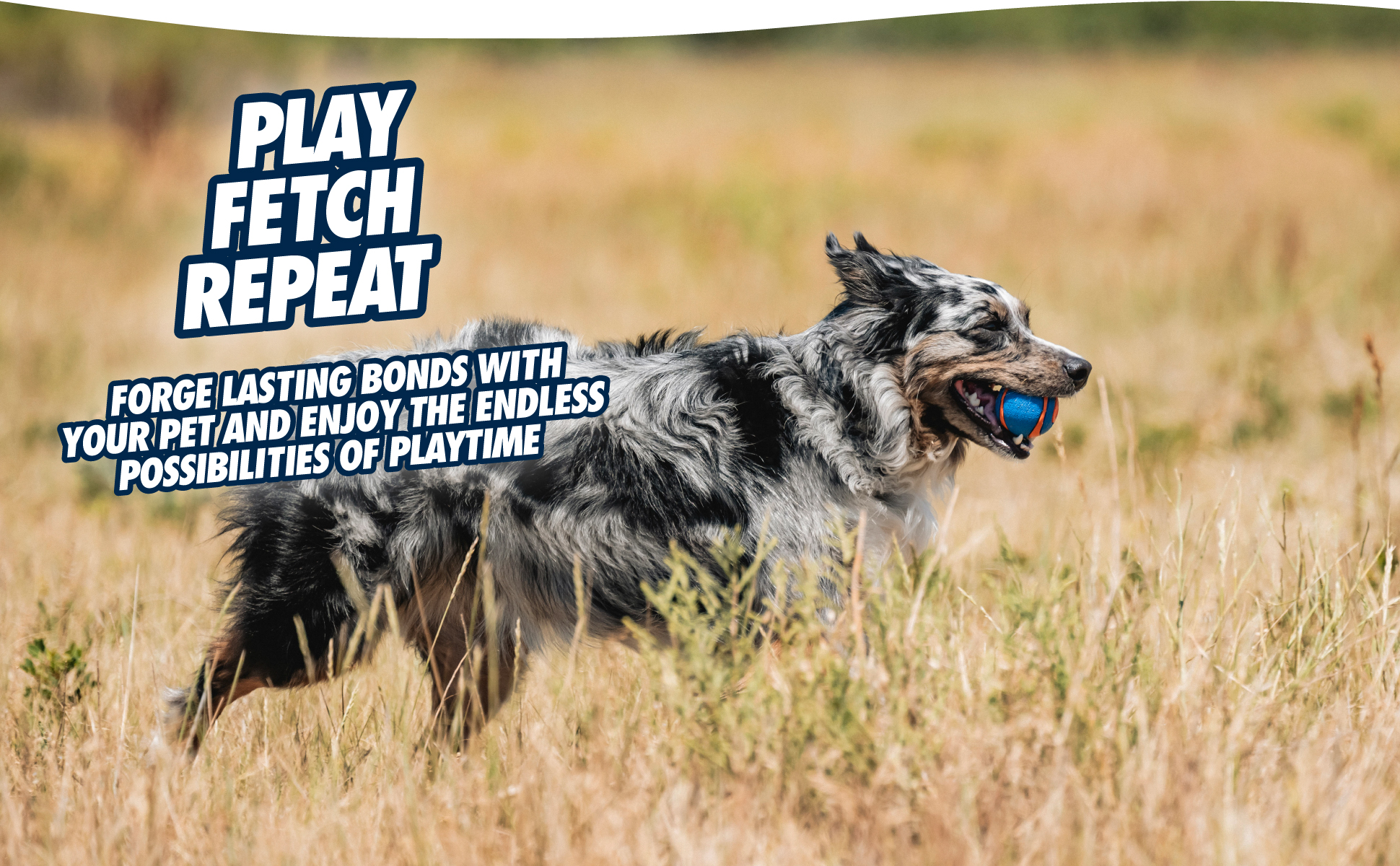 Chuckit! Ultra Squeaker Ball M (2-pack) 2025 Chuckit! Ultra Squeaker Ball M (2-pack) - Afbeelding 6