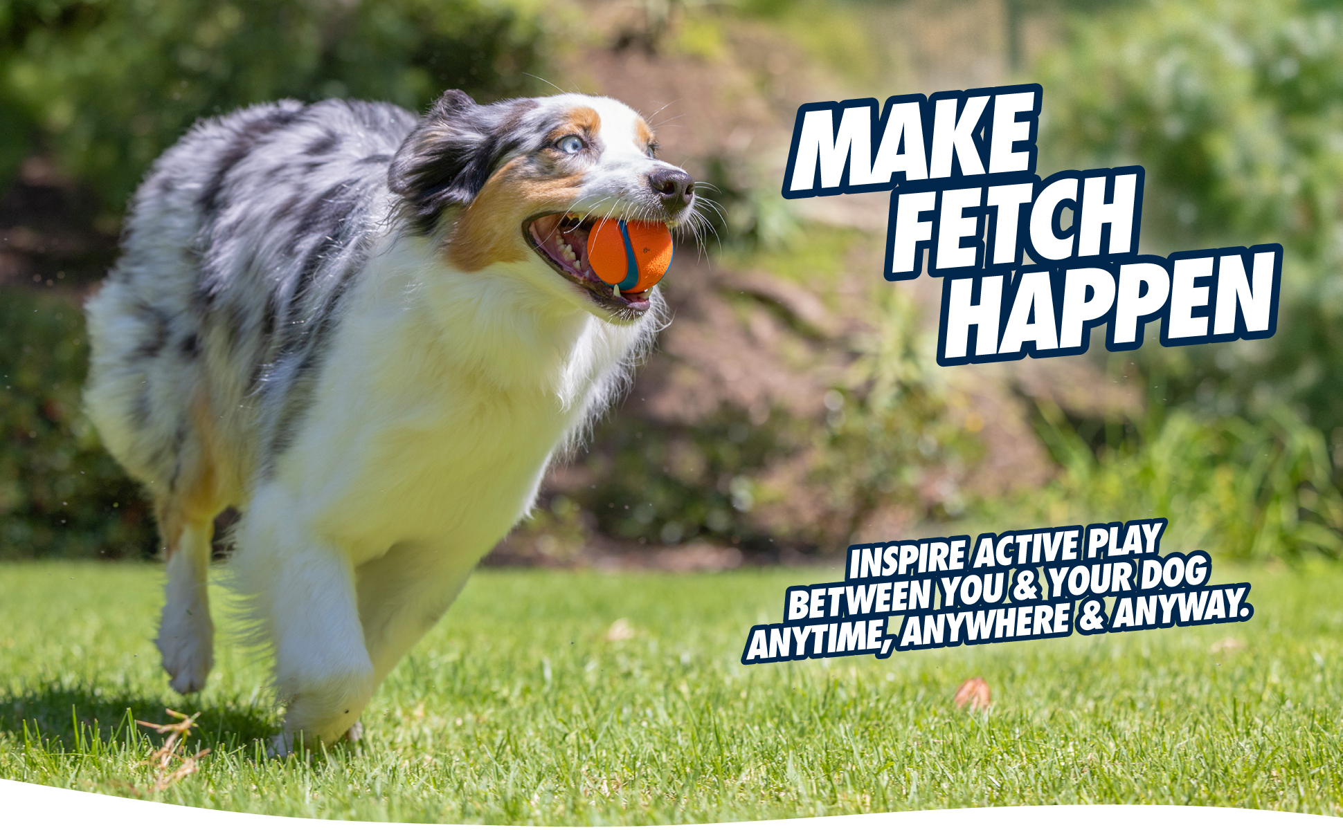 Chuckit! Fetch Medley S 2025 Chuckit! Fetch Medley S - Afbeelding 2