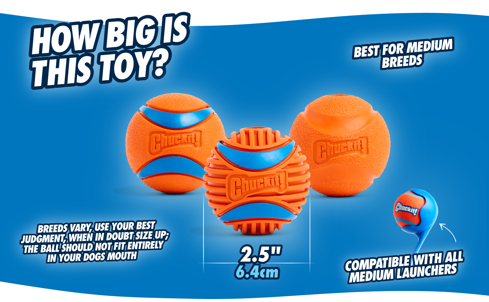 Chuckit! Fetch Medley S 2025 Chuckit! Fetch Medley S - Afbeelding 3