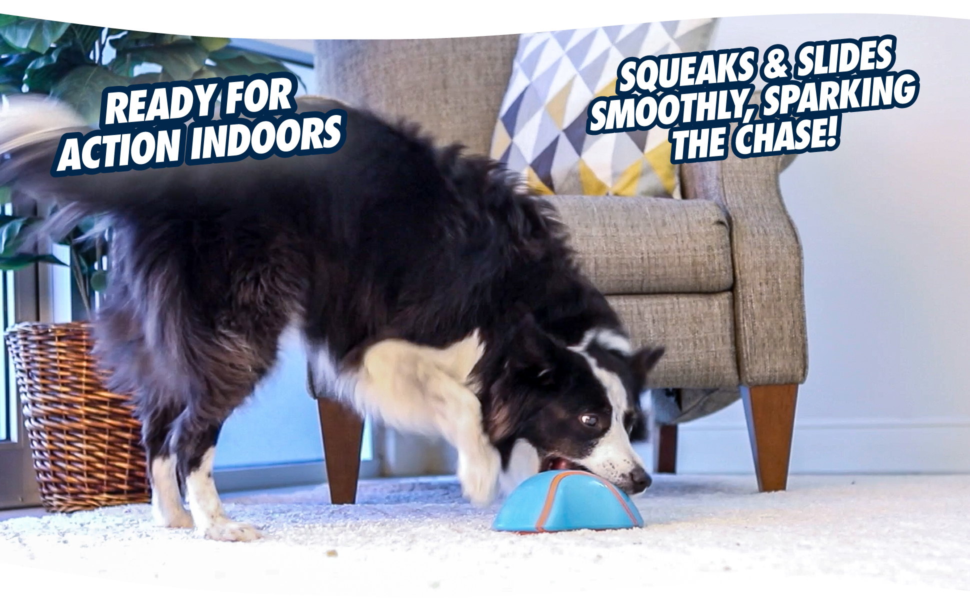 Chuckit! Indoor Super Slider 2025 Chuckit! Indoor Super Slider - Afbeelding 6