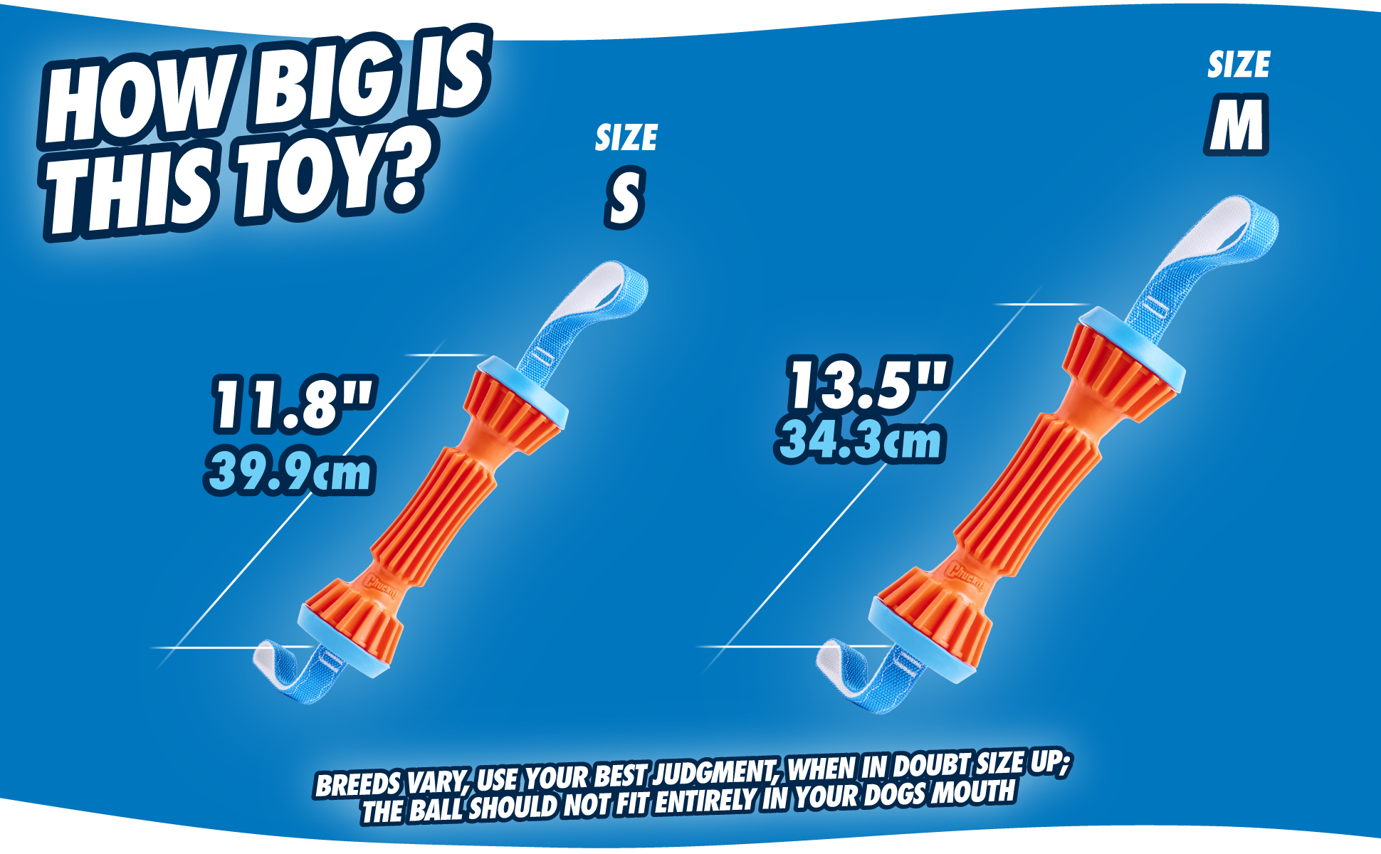 Chuckit! Rugged Bumper L 2025 Chuckit! Rugged Bumper L - Afbeelding 3