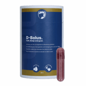 Excellent D-Bolus (Bicarbonaat) 24 stuks