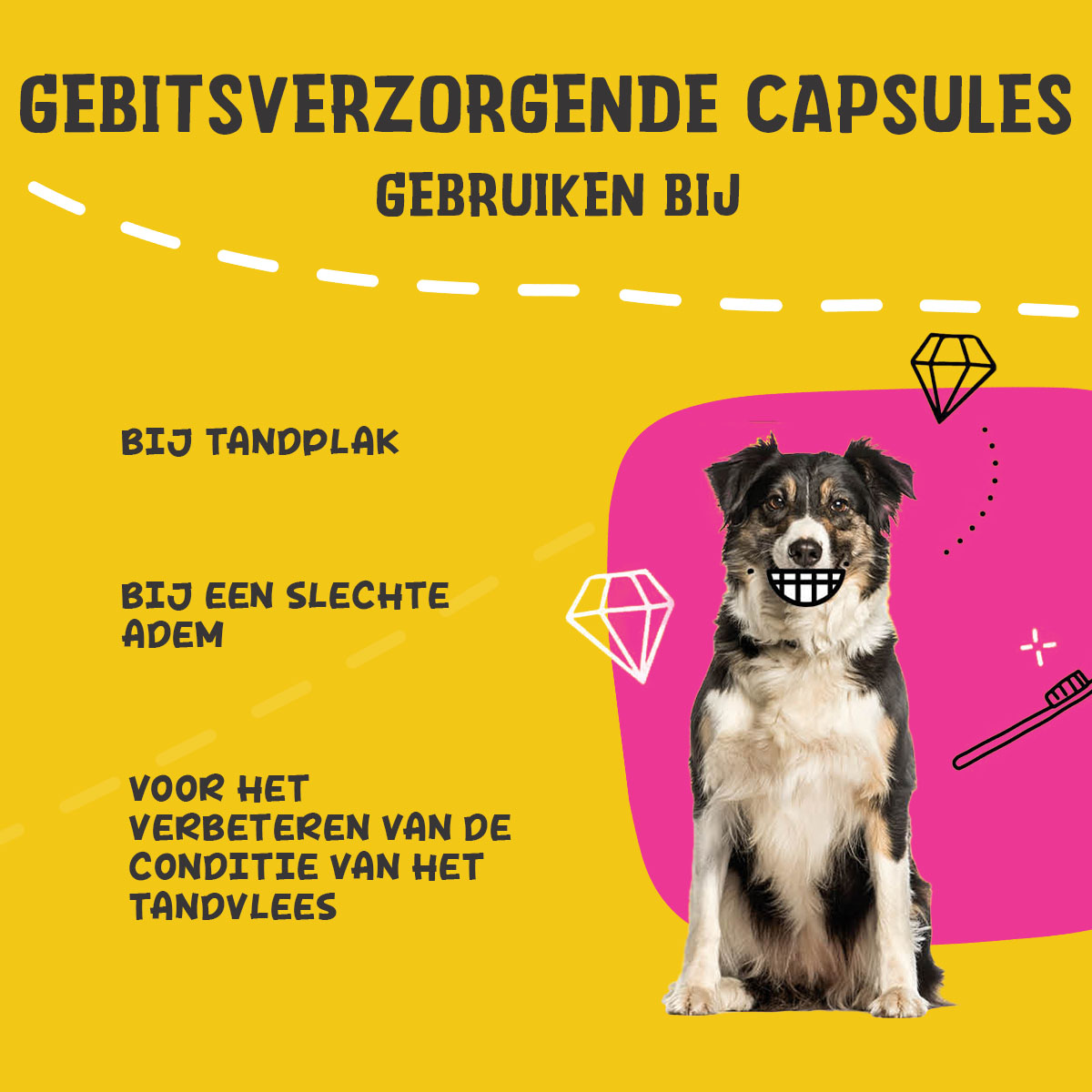 Excellent Pets Dental Oral Care Capsules 90 pcs 2025 Excellent Pets Dental Oral Care Capsules 90 pcs - Afbeelding 4