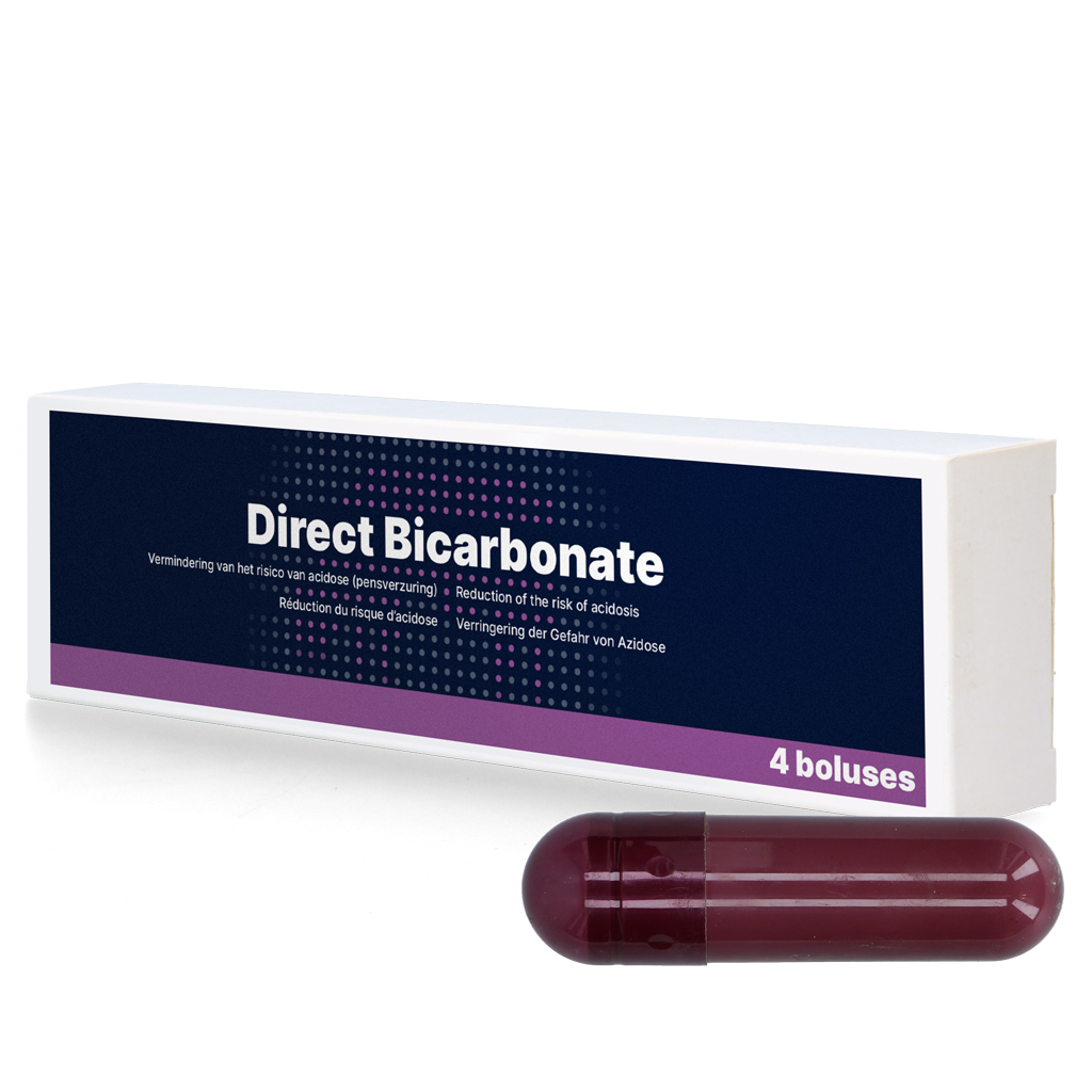 Direct Bicarbonate 4 x 116 g 2025 Direct Bicarbonate 4 x 116 g