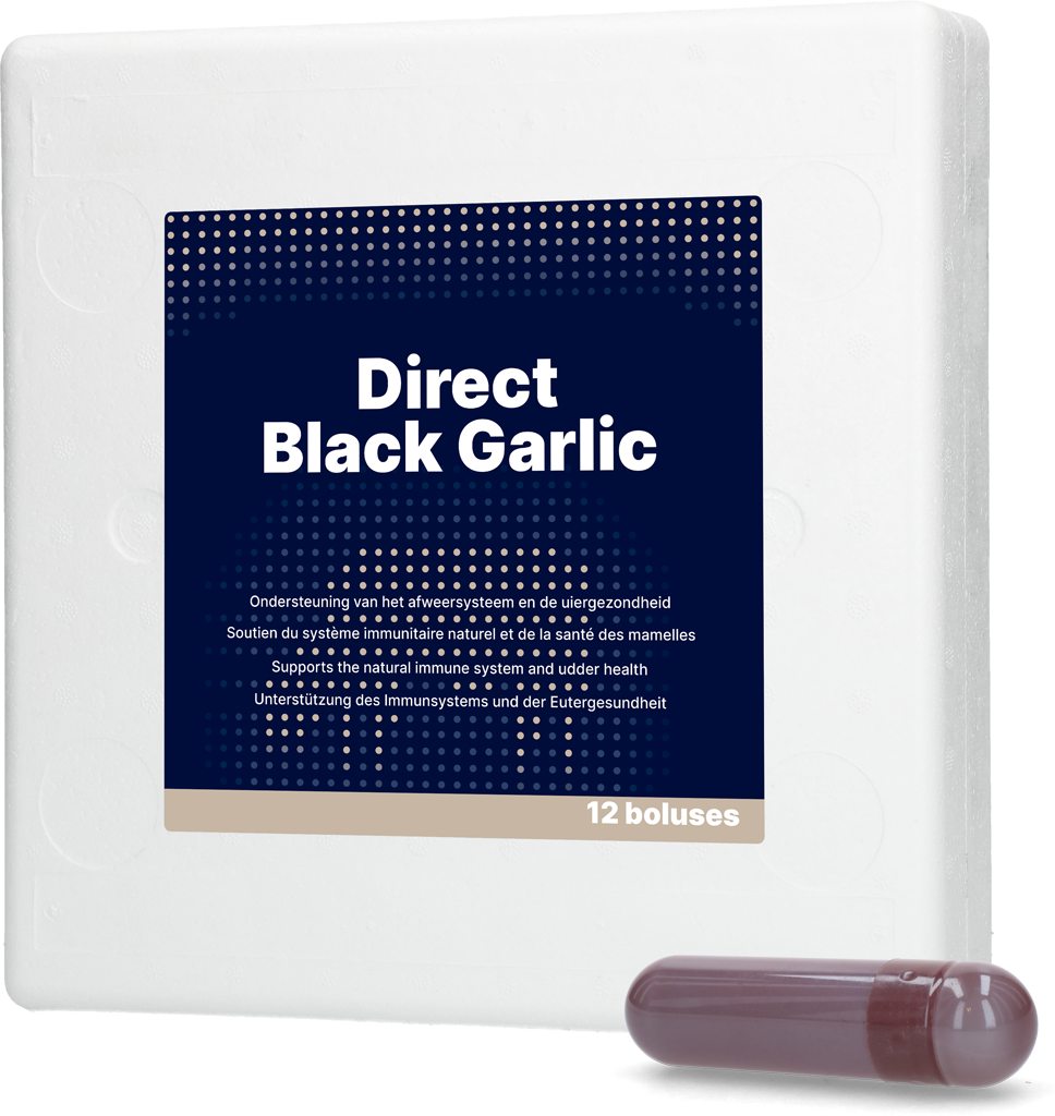 Direct Black Garlic 12 x 60 g 2025 Direct Black Garlic 12 x 60 g