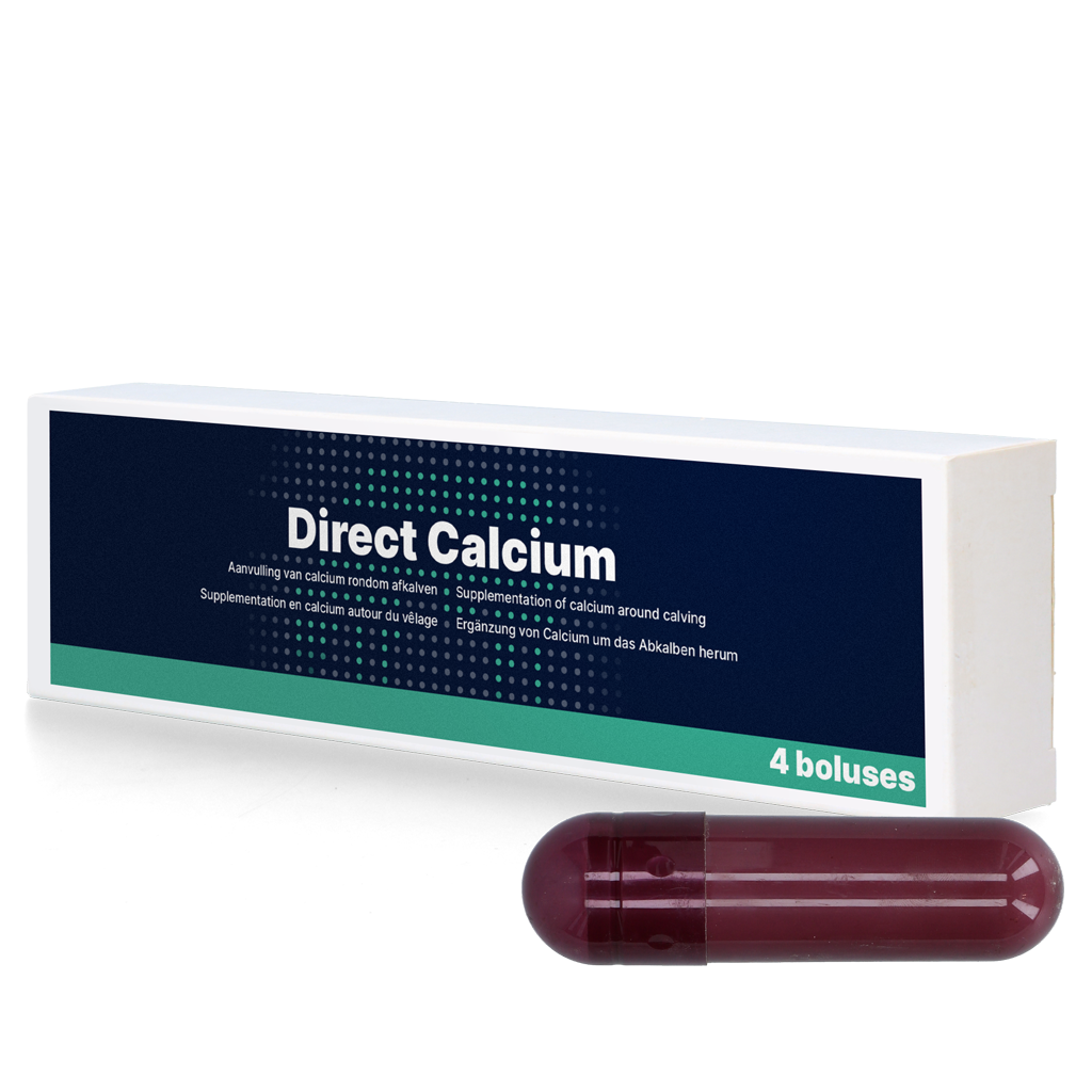 Direct Calcium 4 x 94 g 2025 Direct Calcium 4 x 94 g