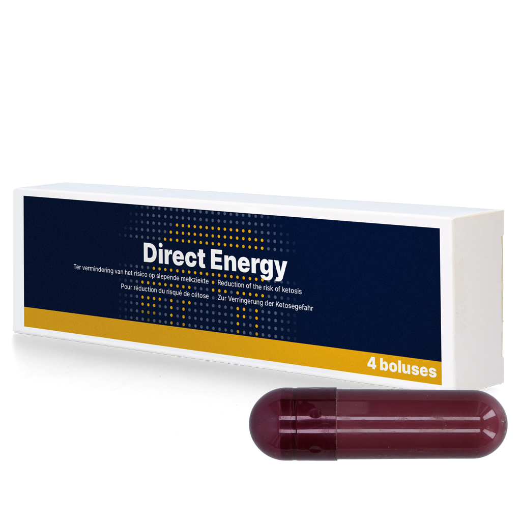 Direct Energy 4 x 67 g 2025 Direct Energy 4 x 67 g