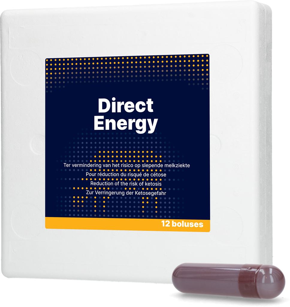 Direct Energy 12 x 67 g 2025 Direct Energy 12 x 67 g