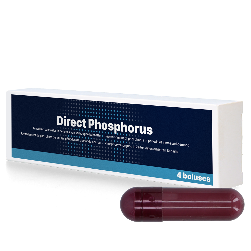 Direct Phosphorus 4 x 123 g 2025 Direct Phosphorus 4 x 123 g