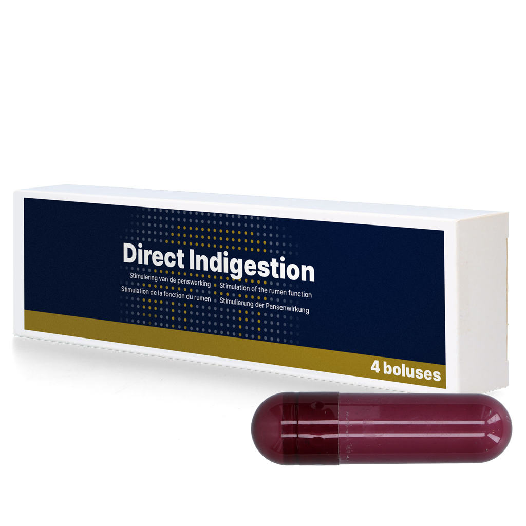 Direct Indigestion 4 x 76 g 2025 Direct Indigestion 4 x 76 g