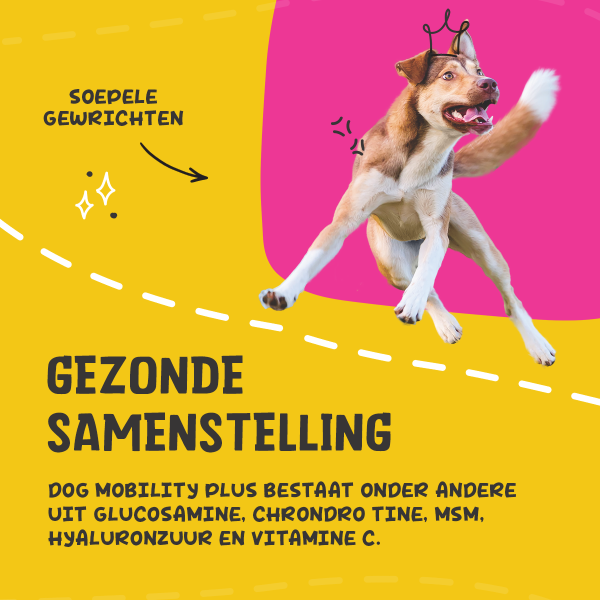 Excellent Pets Dog Mobility+ 250 g 2025 Excellent Pets Dog Mobility+ 250 g - Afbeelding 4