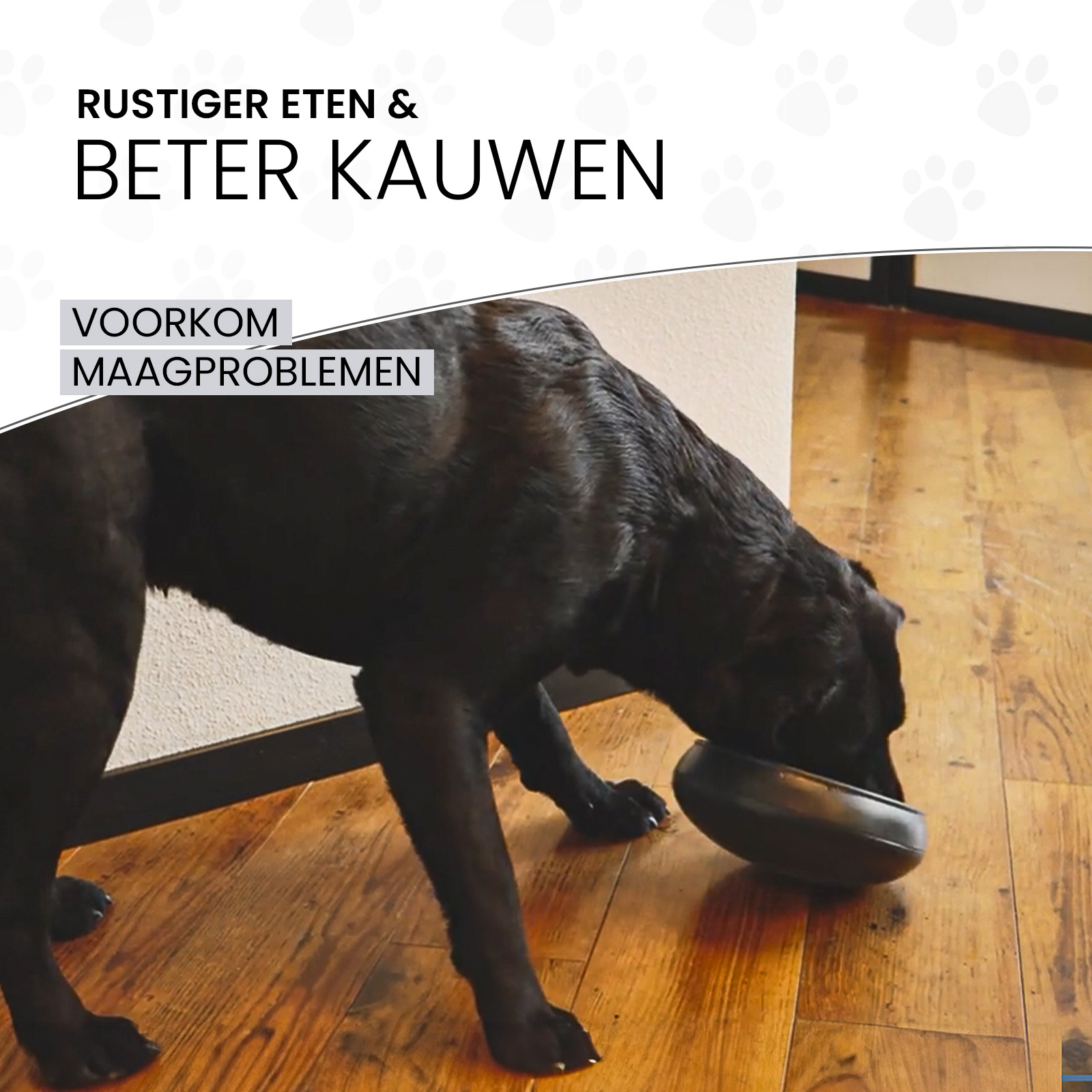 Eat Slow Live Longer Tumble Feeder Grijs 2025 Eat Slow Live Longer Tumble Feeder Grijs - Afbeelding 6