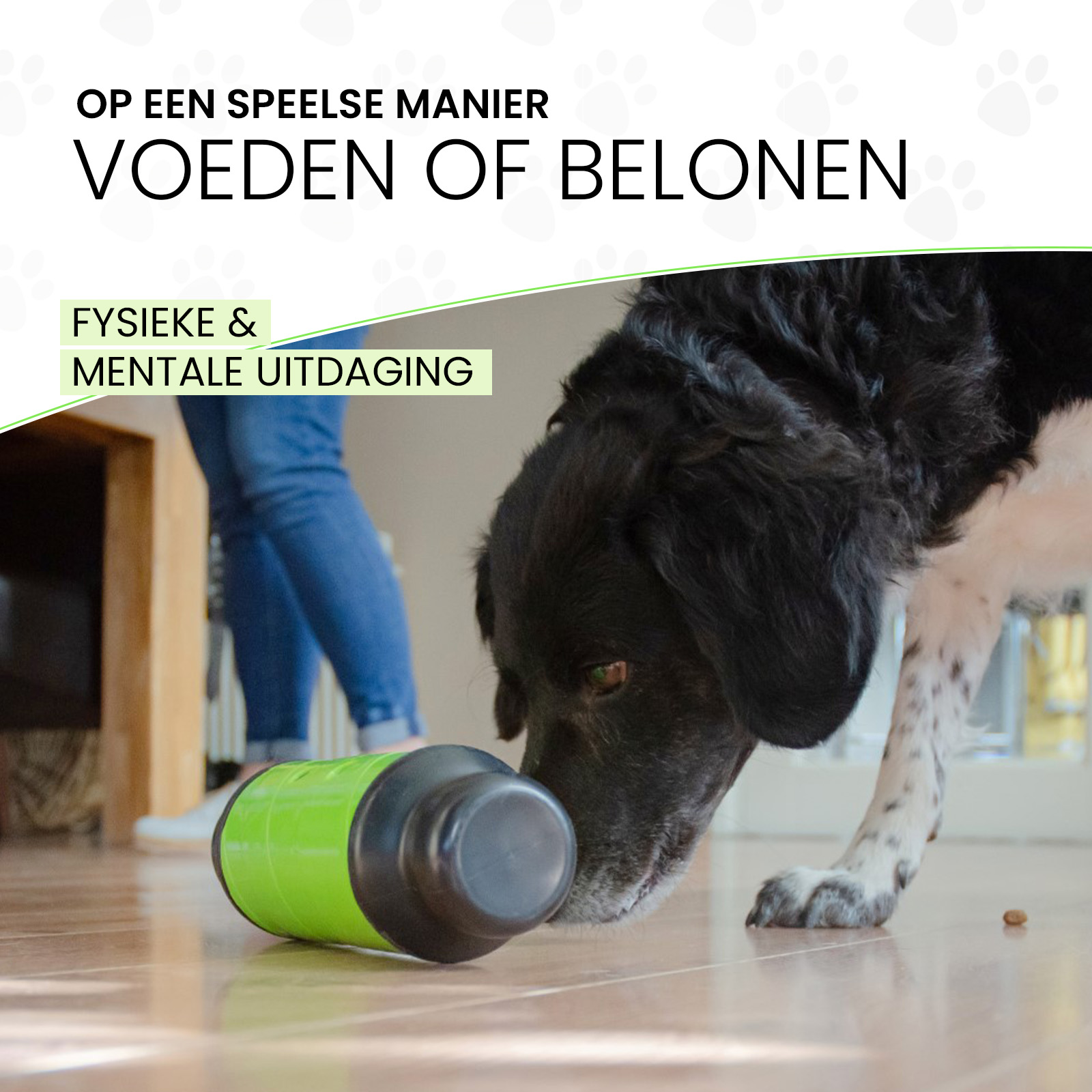 Eat Slow Live Longer Feed & Treat Roller Groen S 2025 Eat Slow Live Longer Feed & Treat Roller Groen S - Afbeelding 6