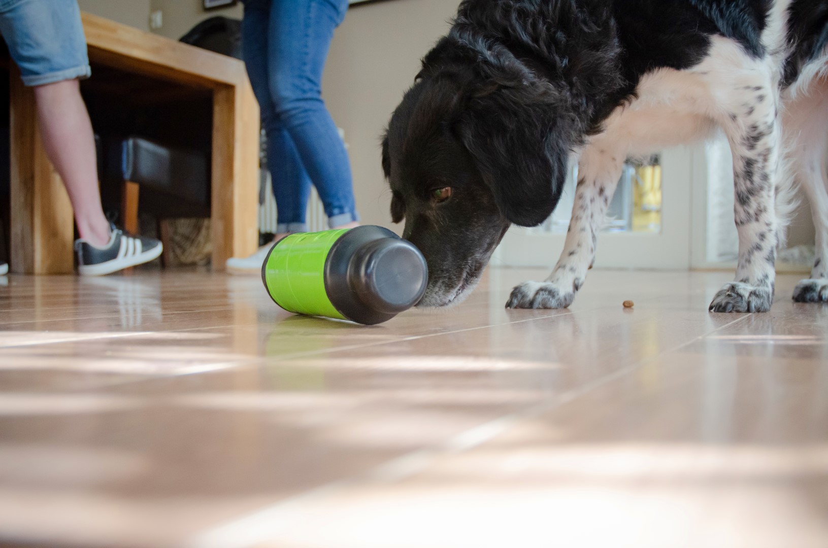 Eat Slow Live Longer Feed & Treat Roller Groen L 2025 Eat Slow Live Longer Feed & Treat Roller Groen L - Afbeelding 3