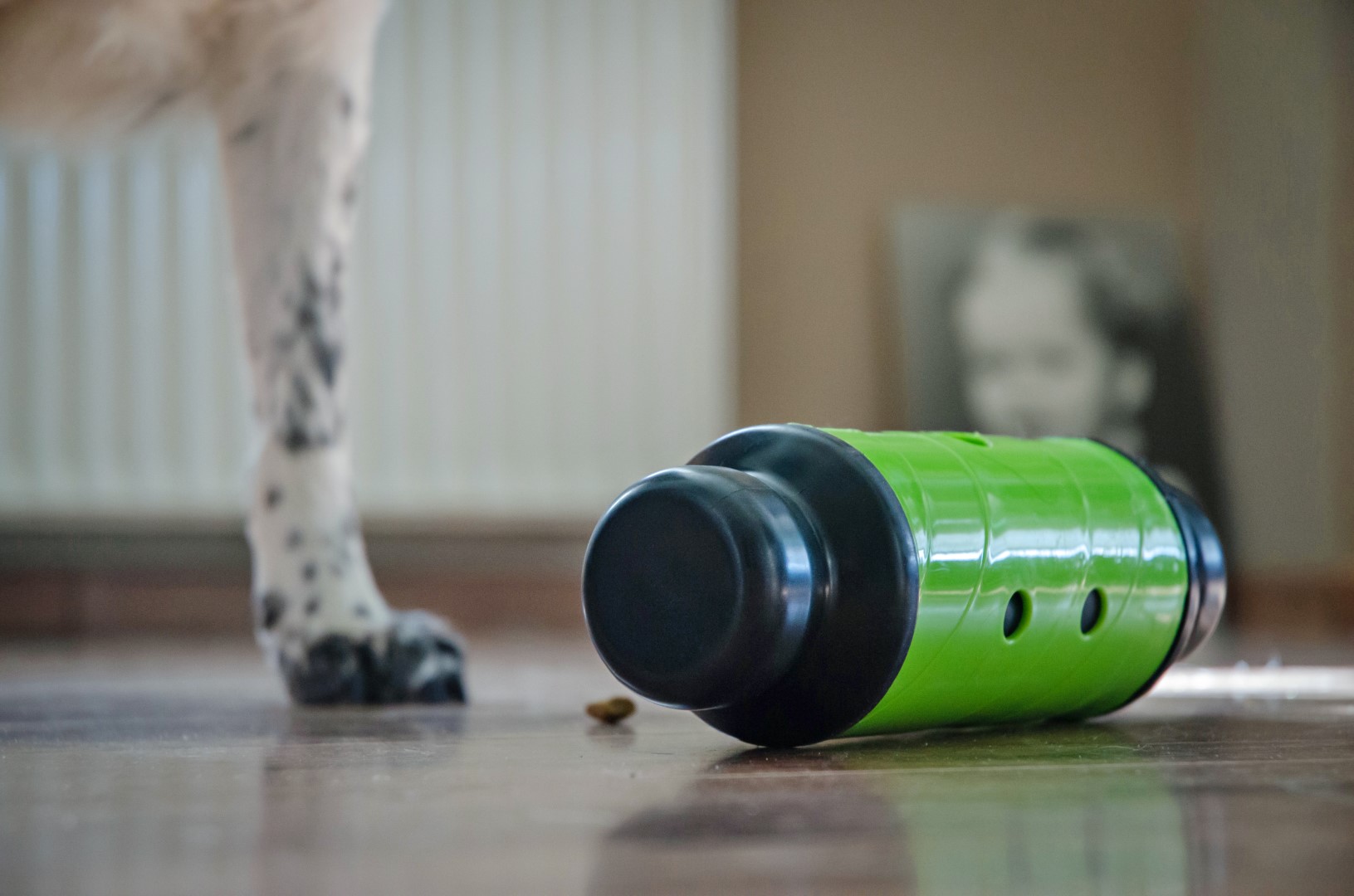 Eat Slow Live Longer Feed & Treat Roller Groen L 2025 Eat Slow Live Longer Feed & Treat Roller Groen L - Afbeelding 2