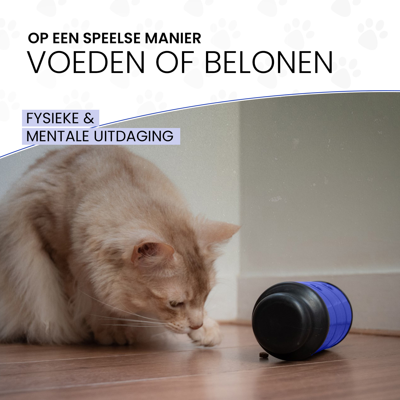 Eat Slow Live Longer Feed & Treat Roller Blauw S 2025 Eat Slow Live Longer Feed & Treat Roller Blauw S - Afbeelding 6
