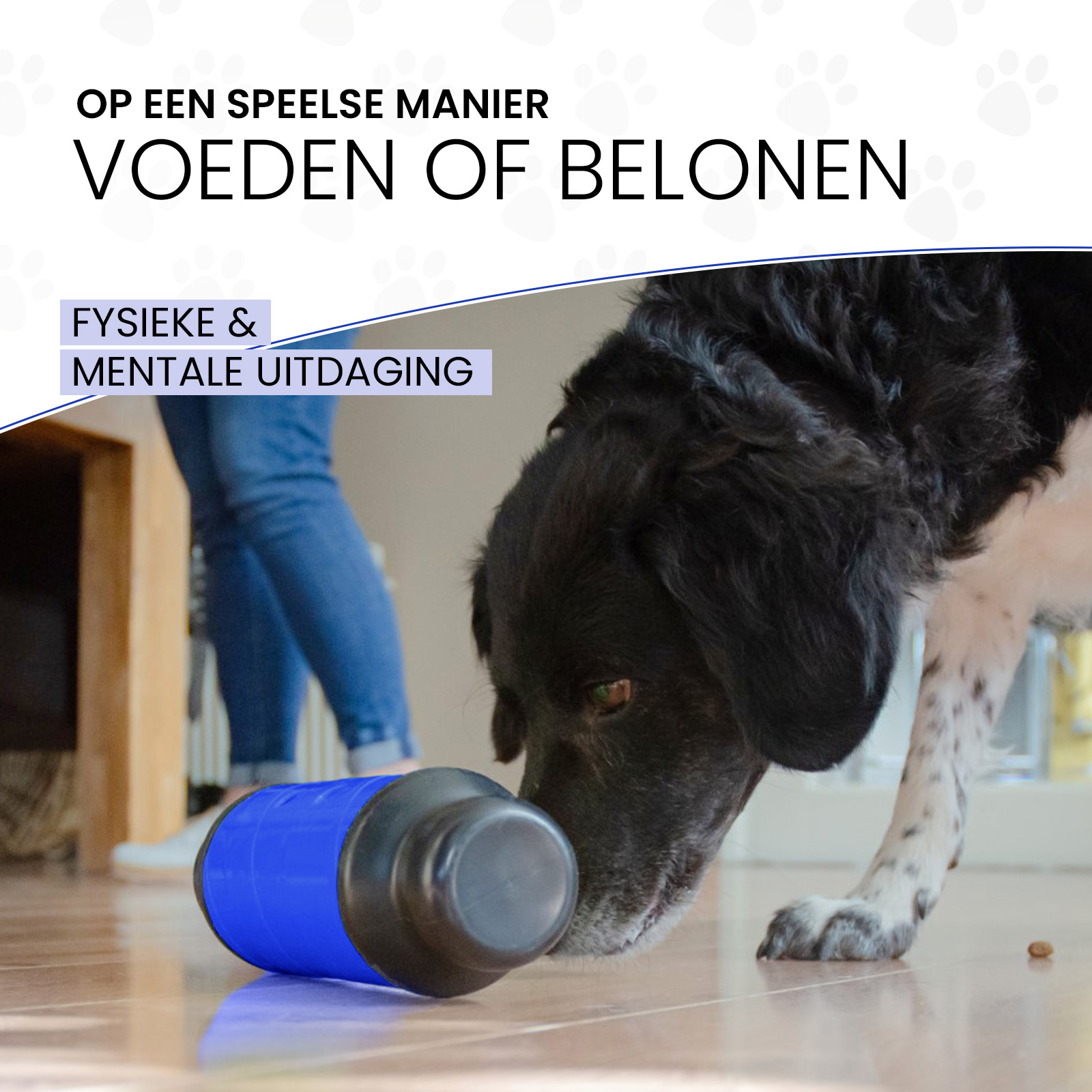 Eat Slow Live Longer Feed & Treat Roller Blauw L 2025 Eat Slow Live Longer Feed & Treat Roller Blauw L - Afbeelding 3