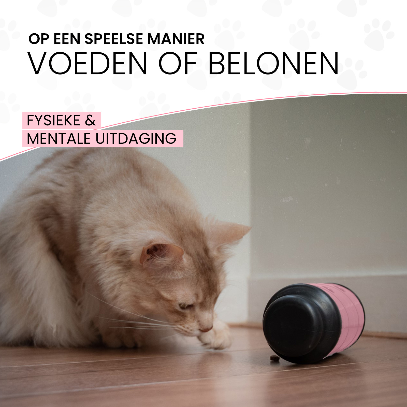 Eat Slow Live Longer Feed & Treat Roller Roze S 2025 Eat Slow Live Longer Feed & Treat Roller Roze S - Afbeelding 5