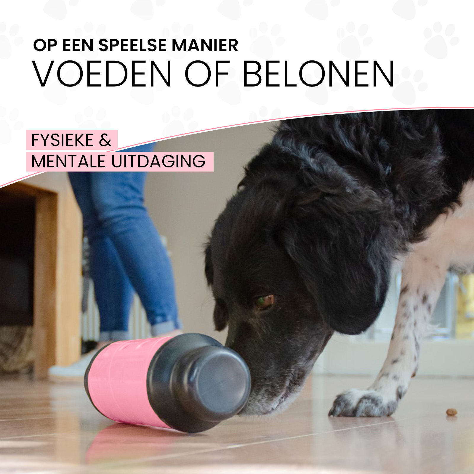 Eat Slow Live Longer Feed & Treat Roller Roze L 2025 Eat Slow Live Longer Feed & Treat Roller Roze L - Afbeelding 3