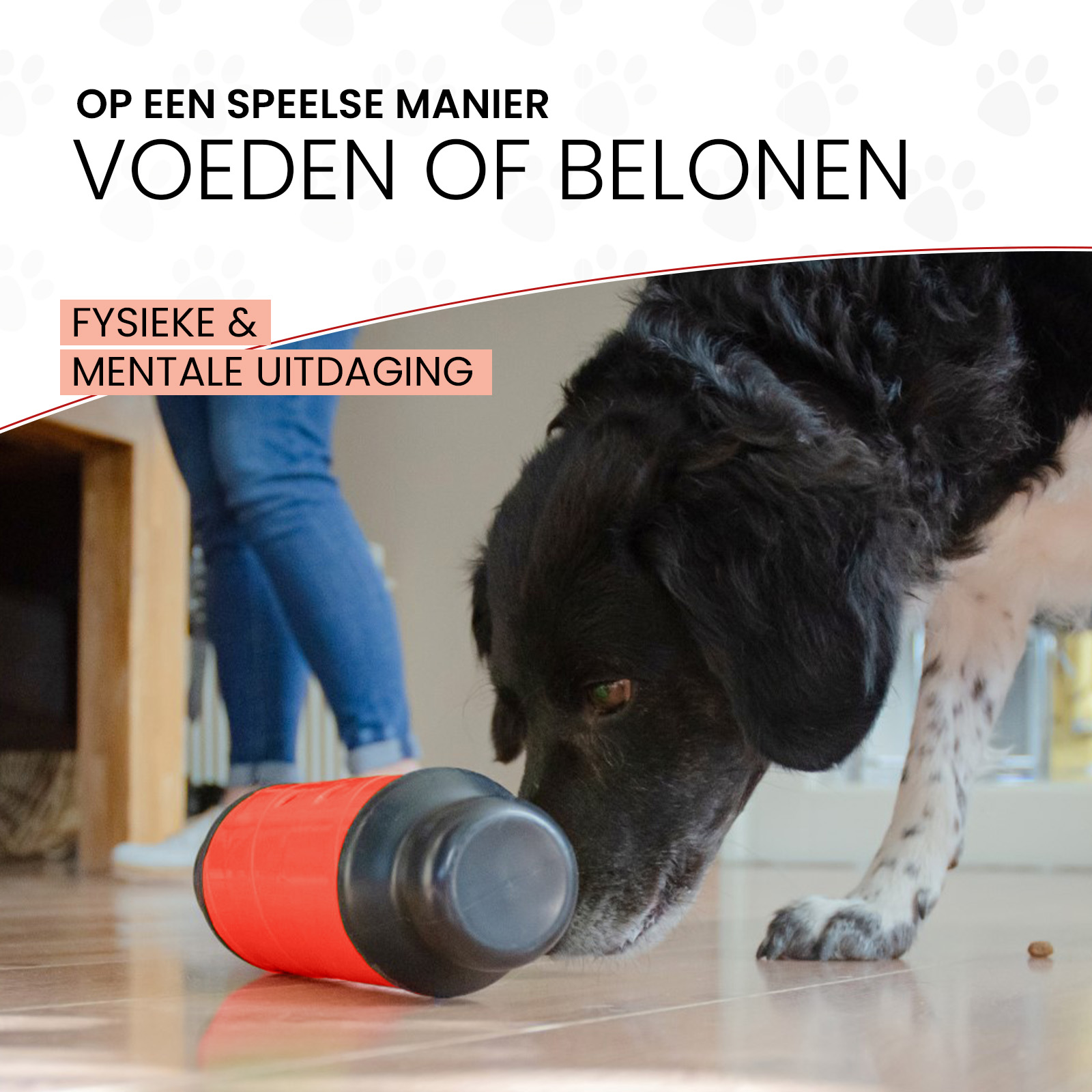 Eat Slow Live Longer Feed & Treat Roller Rood L 2025 Eat Slow Live Longer Feed & Treat Roller Rood L - Afbeelding 3