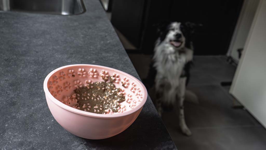 Eat Slow Live Longer Lick Mat Wobble Bowl Roze 2025 Eat Slow Live Longer Lick Mat Wobble Bowl Roze - Afbeelding 5