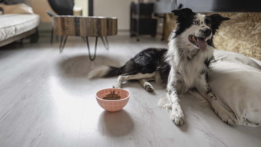 Eat Slow Live Longer Lick Mat Wobble Bowl Roze 2025 Eat Slow Live Longer Lick Mat Wobble Bowl Roze - Afbeelding 6