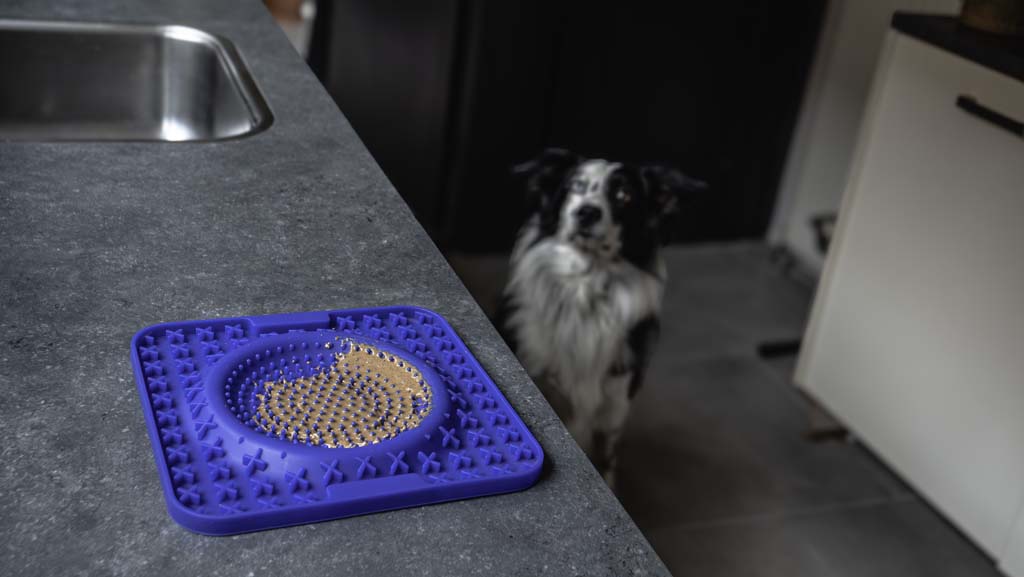 Eat Slow Live Longer Lick Mat Wave Blauw 2025 Eat Slow Live Longer Lick Mat Wave Blauw - Afbeelding 5