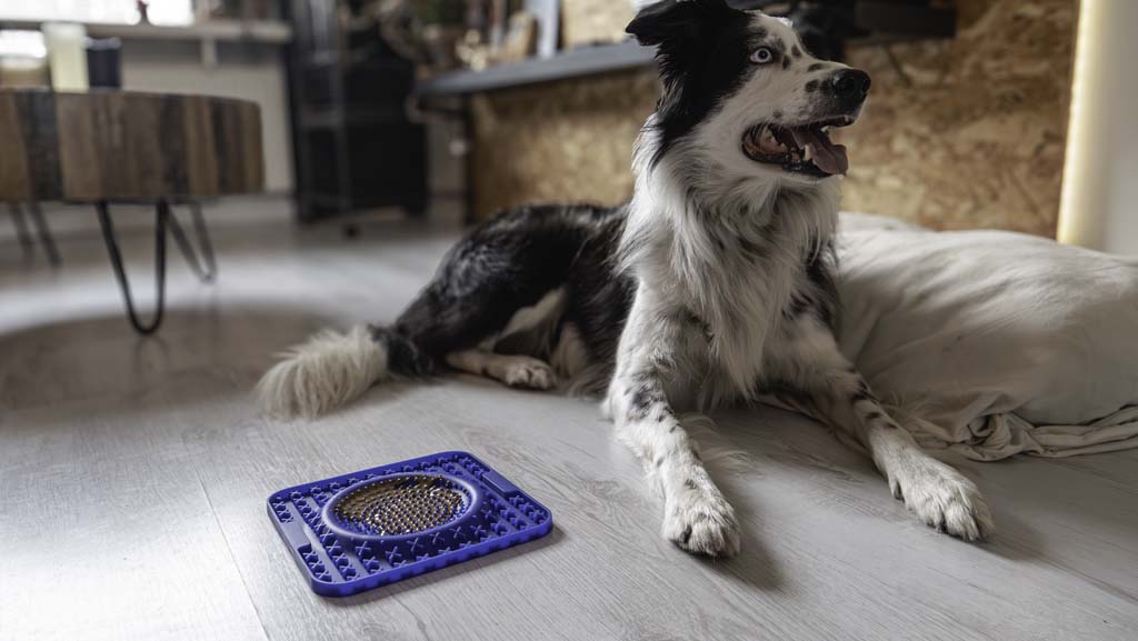 Eat Slow Live Longer Lick Mat Wave Blauw 2025 Eat Slow Live Longer Lick Mat Wave Blauw - Afbeelding 6