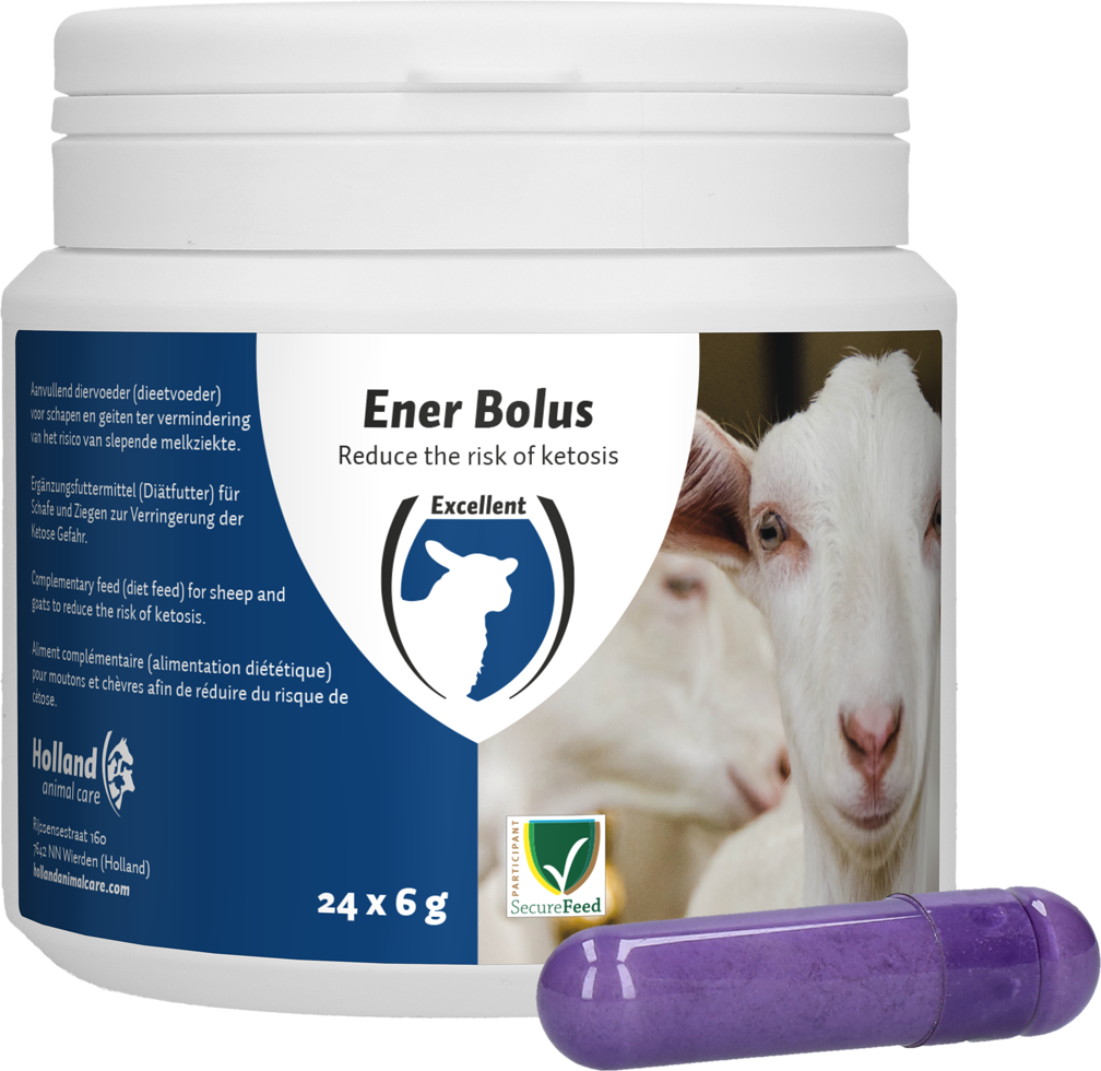 Excellent Ener Bolus Schaap & Geit 2025 Excellent Ener Bolus Schaap & Geit