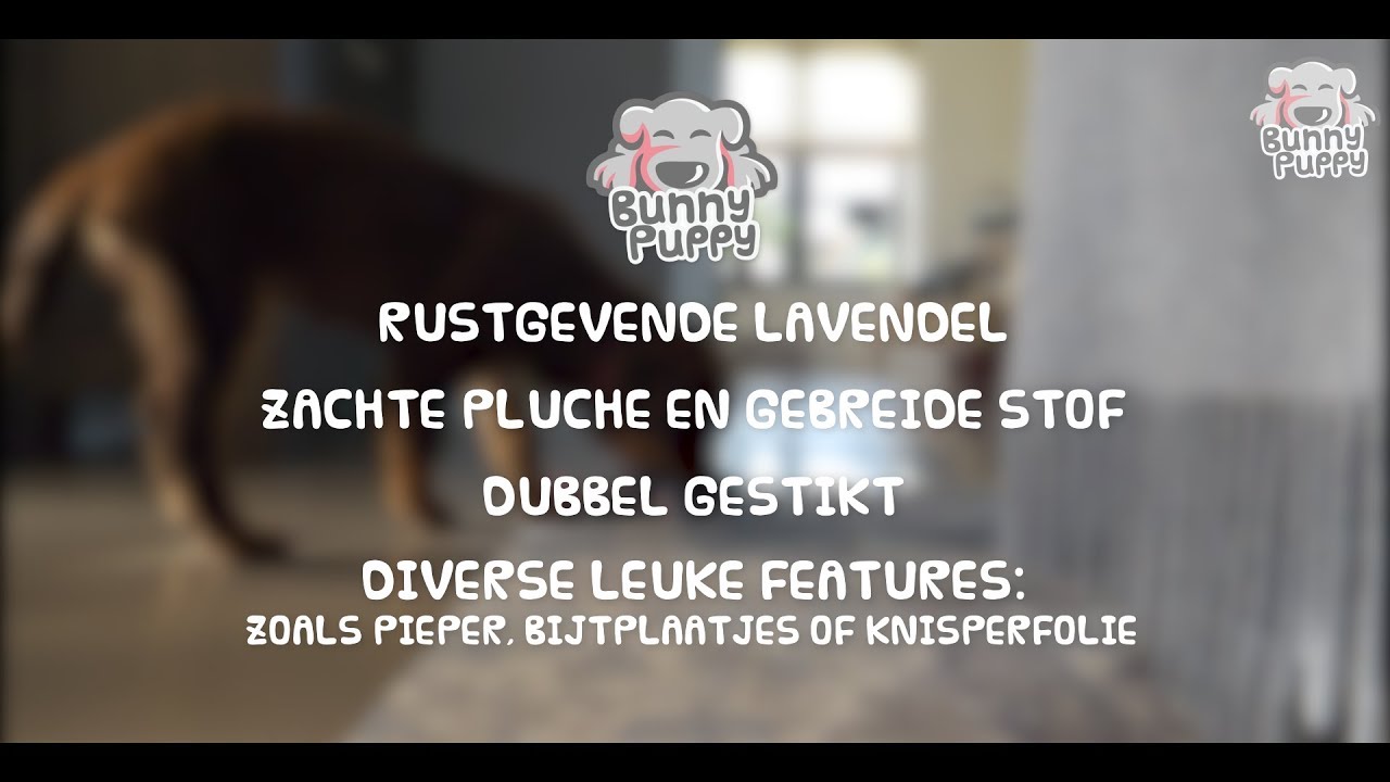 Bunny Puppy Crunchy Chew 2025 Bunny Puppy Crunchy Chew - Afbeelding 2