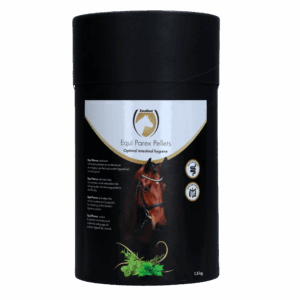 Excellent Horse Parex 1,5 kg
