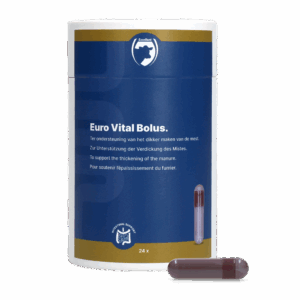 Excellent Euro-Vital Bolus 24 x 10 g