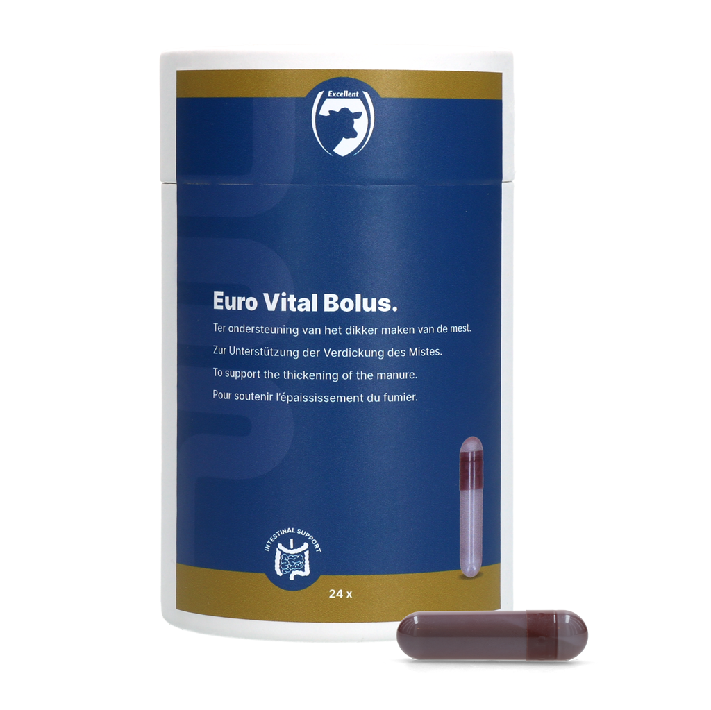 Excellent Euro-Vital Bolus 24 x 10 g 2025 Excellent Euro-Vital Bolus 24 x 10 g
