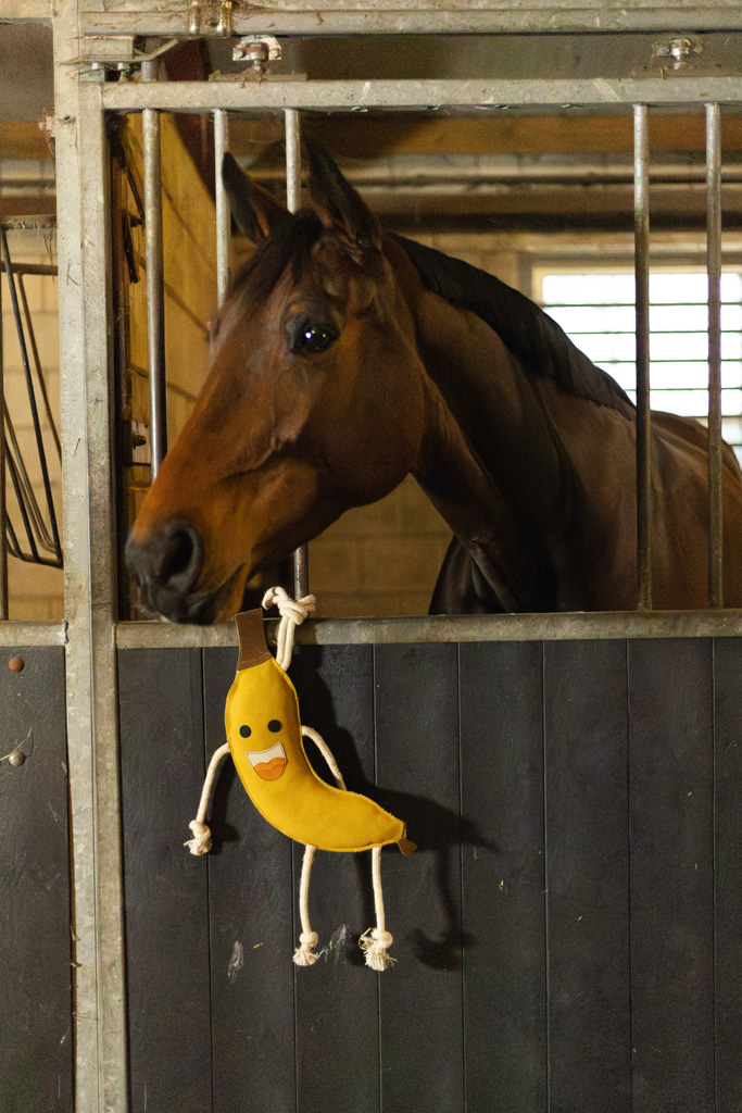 Excellent Horse Foodie Friends Banana 2025 Excellent Horse Foodie Friends Banana - Afbeelding 3