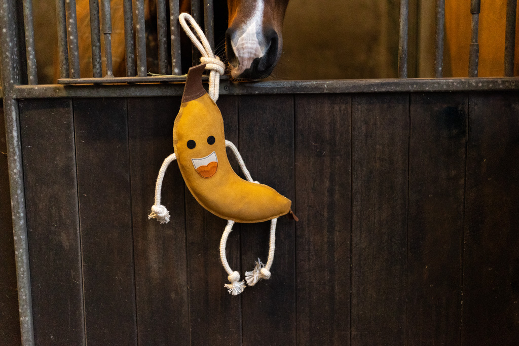 Excellent Horse Foodie Friends Banana 2025 Excellent Horse Foodie Friends Banana - Afbeelding 4