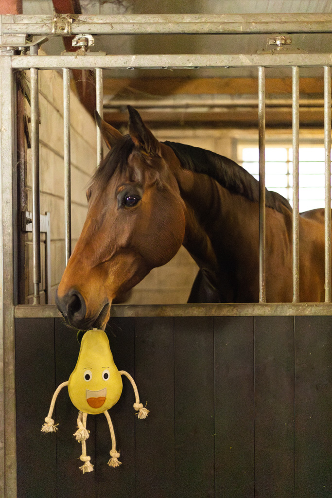 Excellent Horse Foodie Friends Pear 2025 Excellent Horse Foodie Friends Pear - Afbeelding 4