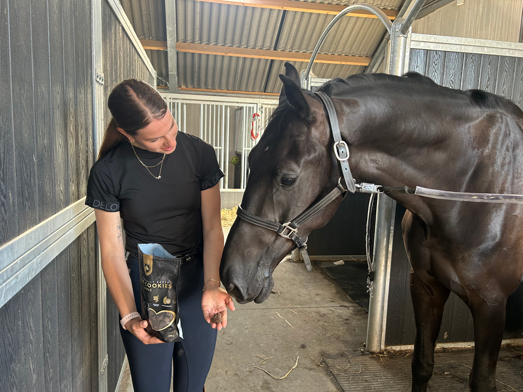 Excellent Horse Ambachtelijke Paardenkoekjes Appel 2025 Excellent Horse Ambachtelijke Paardenkoekjes Appel - Afbeelding 4