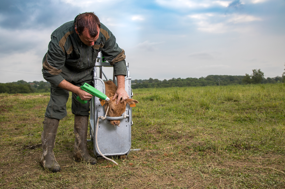Express Cosmos Draagbare onthoorner 2025 Express Cosmos Draagbare onthoorner - Afbeelding 2