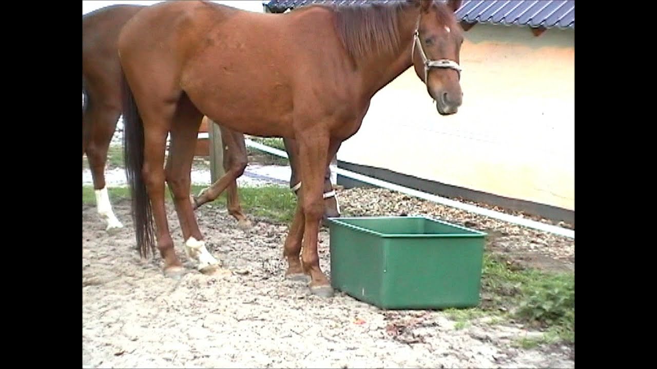 OK Plast Weidebak 200 l 2025 OK Plast Weidebak 200 l - Afbeelding 2