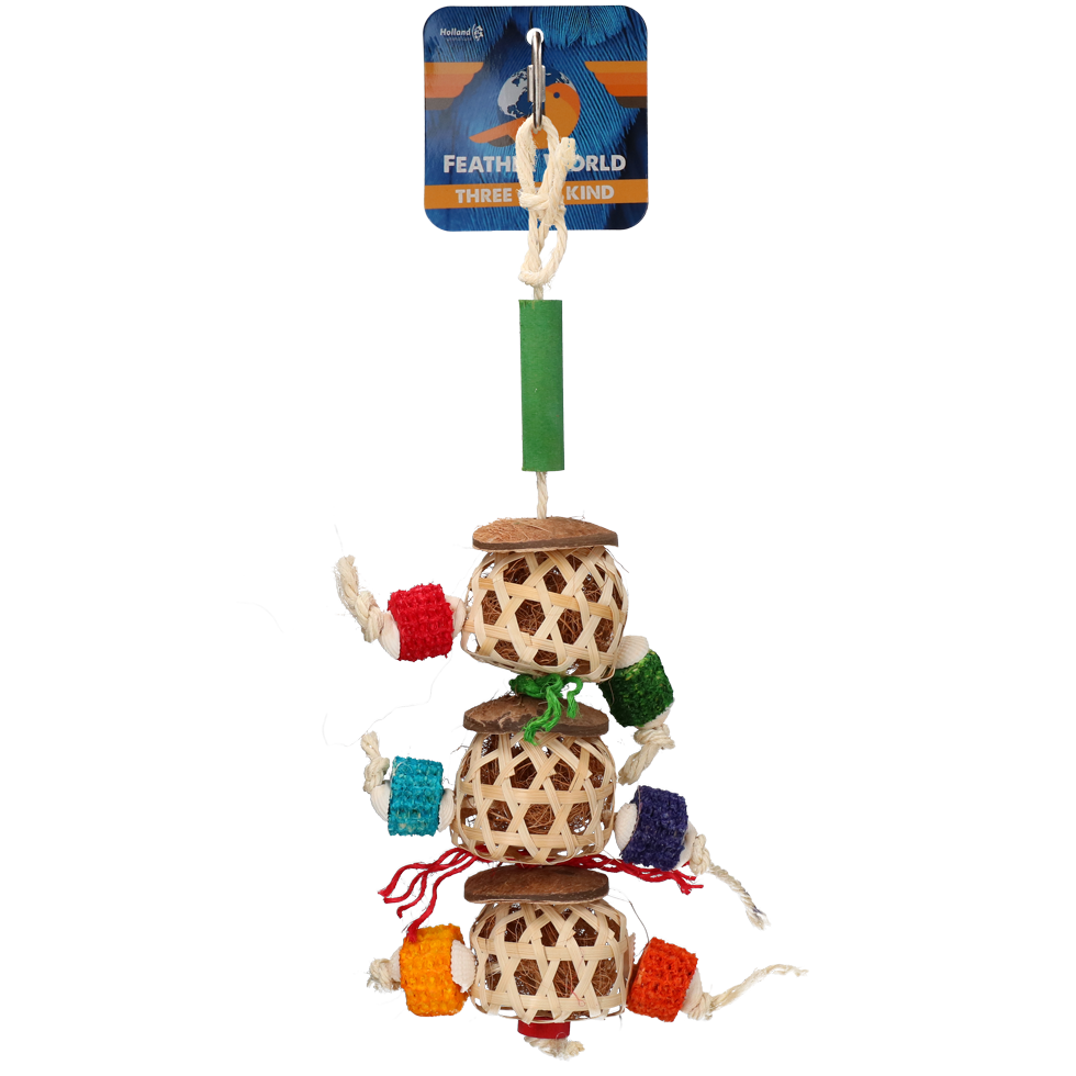 Feather World Three of a kind 2025 Feather World Three of a kind