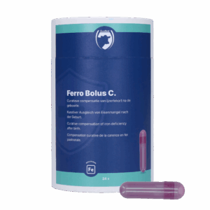Excellent Ferro Bolus C 24 x 9,5 g