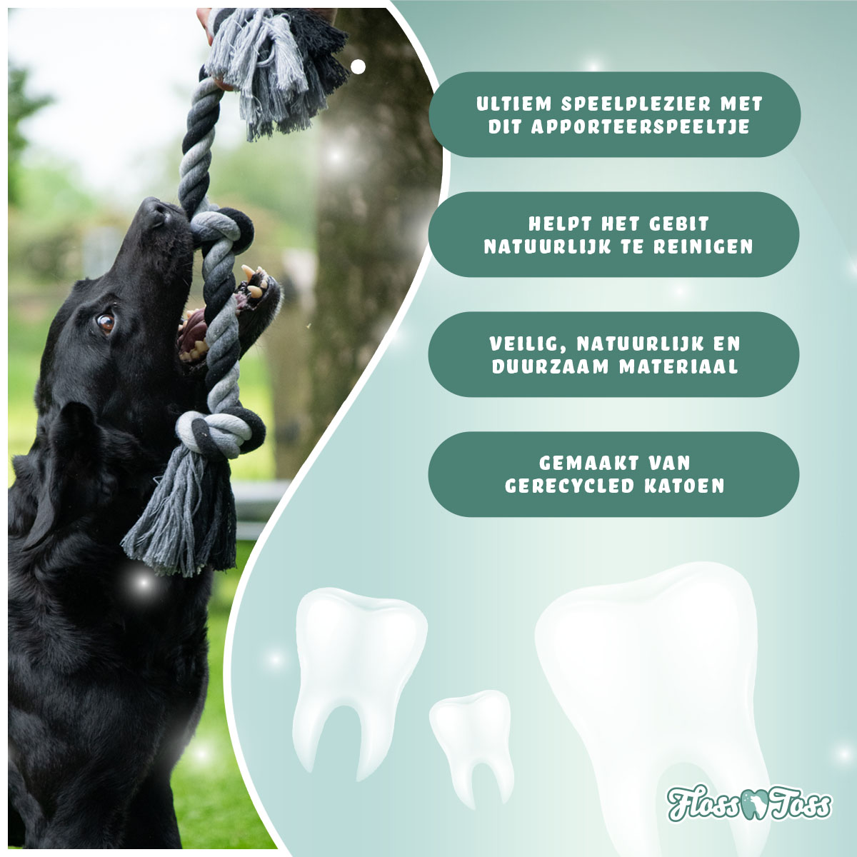 Floss Toss Dental Rope 2 Knot - 45 cm 2025 Floss Toss Dental Rope 2 Knot - 45 cm - Afbeelding 3