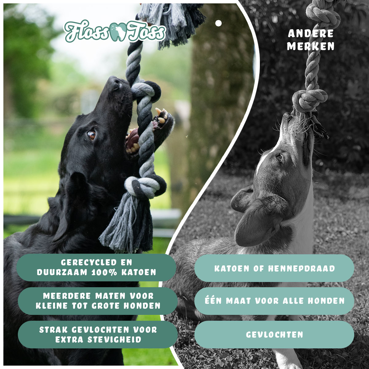 Floss Toss Dental Rope 2 Knot - 45 cm 2025 Floss Toss Dental Rope 2 Knot - 45 cm - Afbeelding 5