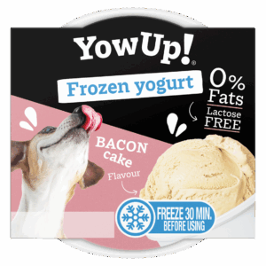 YowUp! Frozen Yoghurt Bacon Cake
