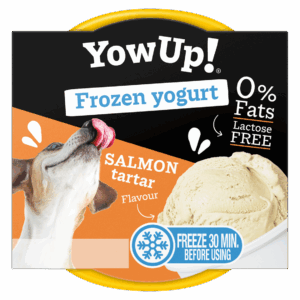 YowUp! Frozen Yoghurt Salmon Tartar
