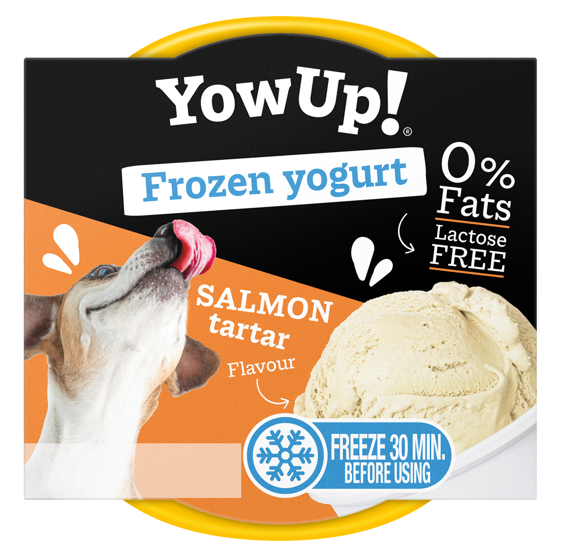 YowUp! Frozen Yoghurt Salmon Tartar 2025 YowUp! Frozen Yoghurt Salmon Tartar