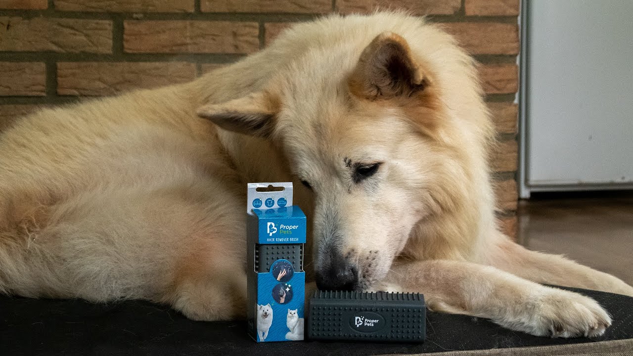 Proper Pets Haarverwijderaar 2025 Proper Pets Haarverwijderaar - Afbeelding 2