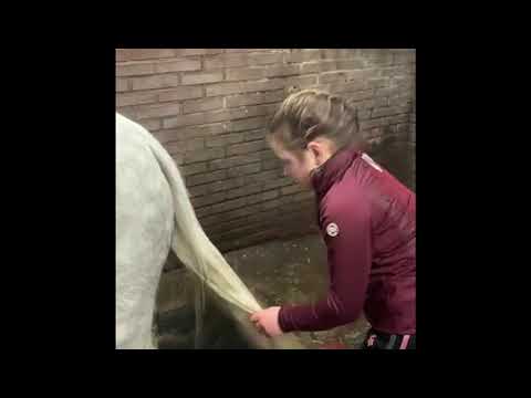 Lucky Horse Unicorn Magic Gel 2025 Lucky Horse Unicorn Magic Gel - Afbeelding 2